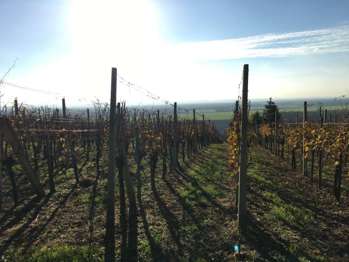 Pri Konjskem Pajdasu Lendava Exterior foto